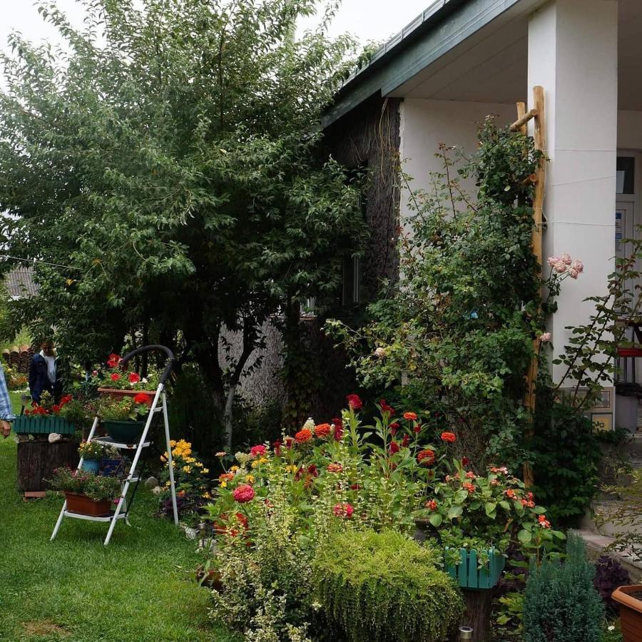 Leila'S Guest House Joqolo Экстерьер фото
